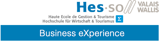 Partenaire Travelise HES Business Experience
