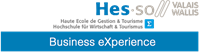 Partenaire Travelise HES Business Experience